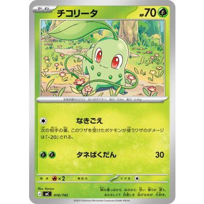 Pokemon TCG Chikorita【-】{016/742}