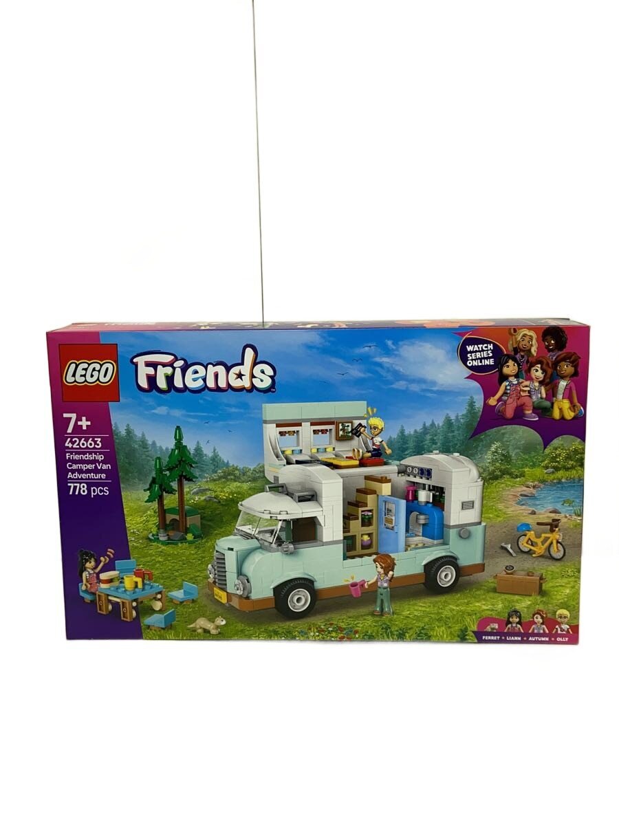 LEGO 42663 (Boy)