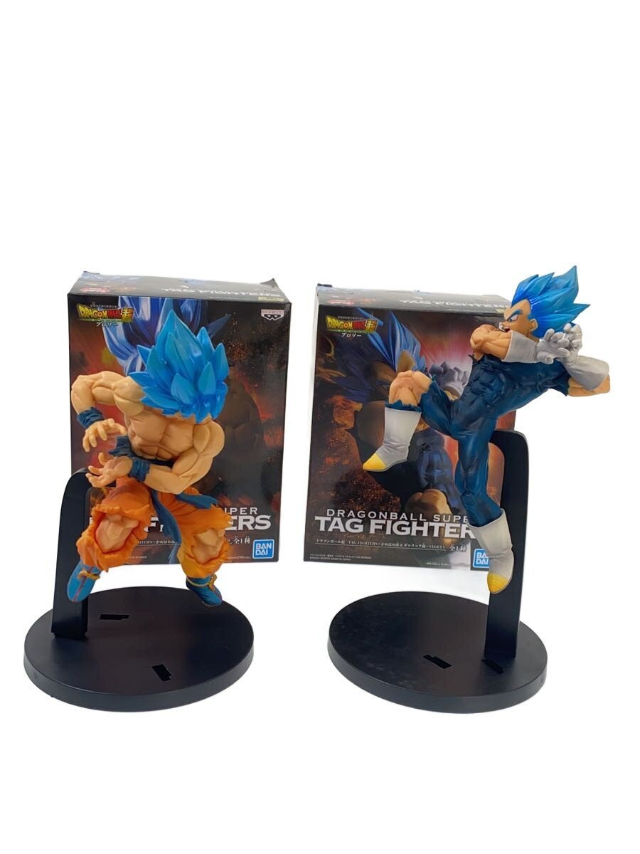 Other Brand TAG FIGHTERS Son Goku & Vegeta 2-Piece Set (Dragon Ball)