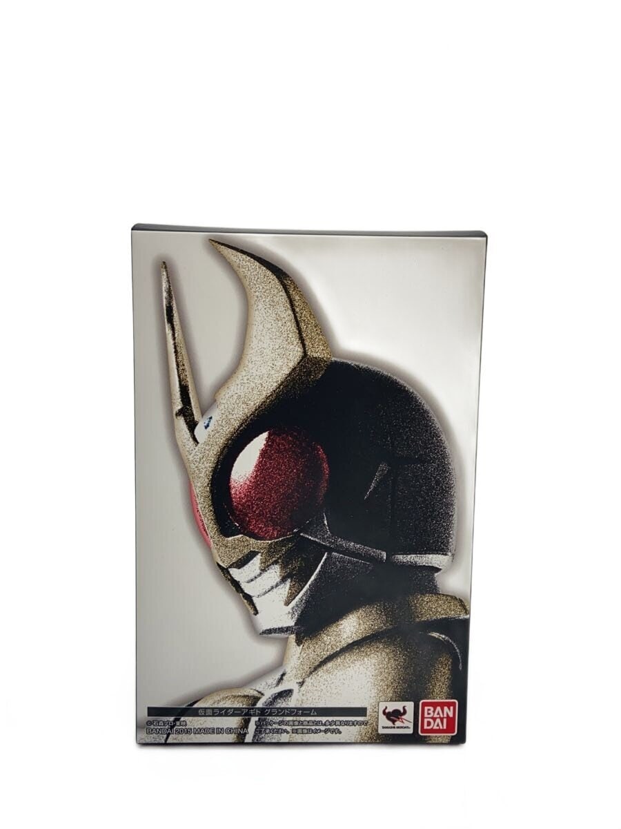 BANDAI S.H.Figuarts Kamen Rider Agito (真骨彫製法)
