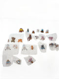 Other Brand Figure: Animal Sauna