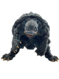 Other Brand Gamera