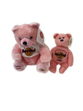 Other Brand Teddy Bears (Set of 2)