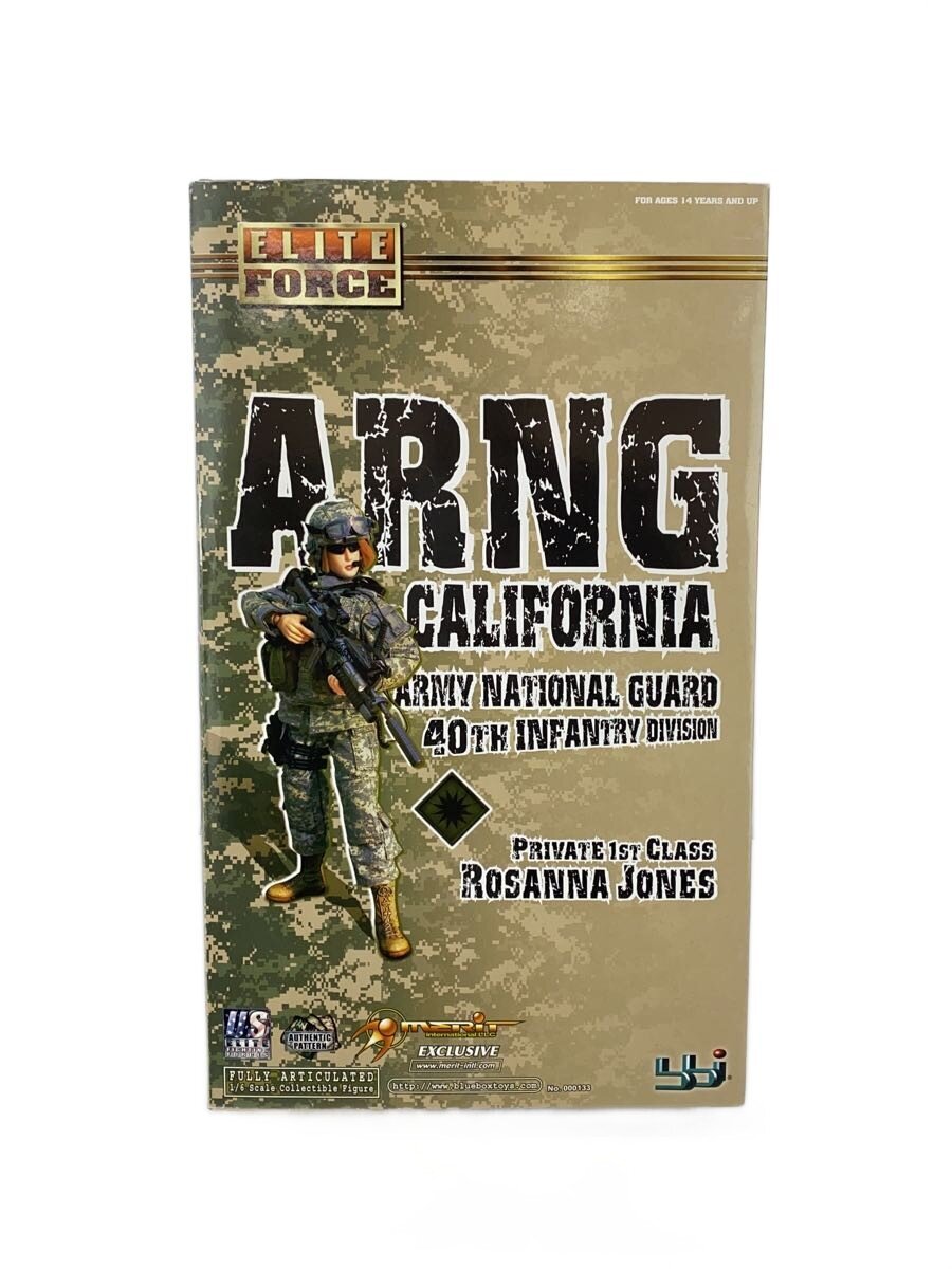 Other Brand ARNG Plastic Model (Military)