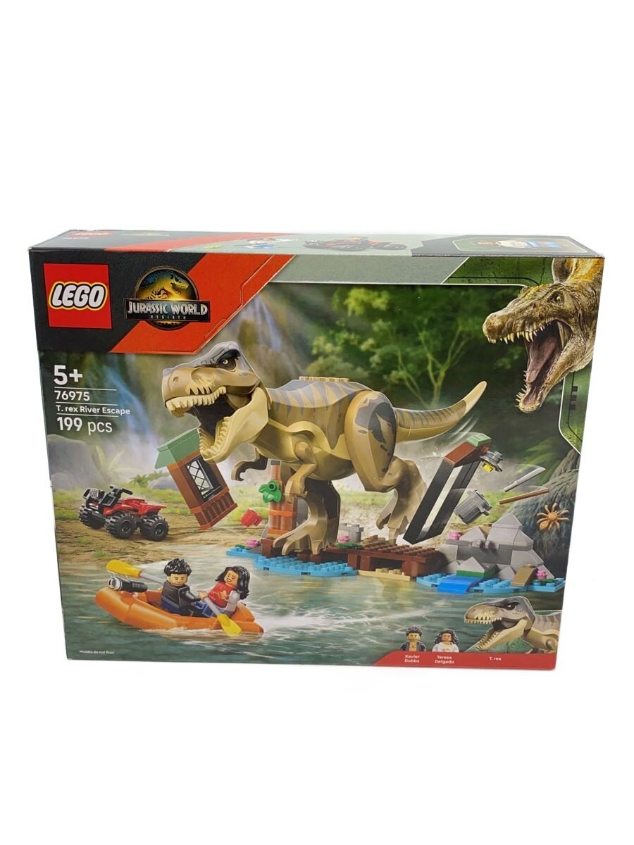 LEGO Boy