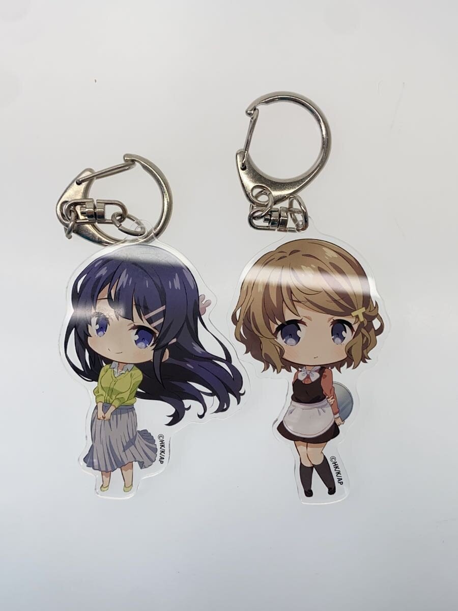 Other Brand Hobby Item: AoButa (Seishun Buta Yarou) 'Doesn't Dream of Santa Claus'