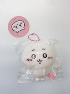 Other Brand CHIIKAWA Mascots (2 pieces)