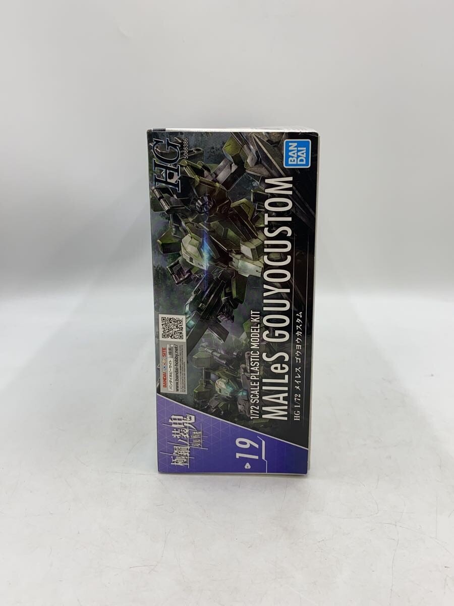 BANDAI Kyoukai Senki Gokukou no Soki HG 1/72 Meiless Gouyou Custom