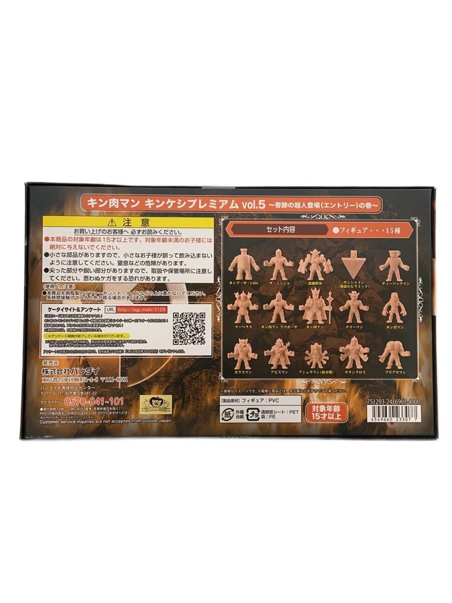 BANDAI Hobby Misc