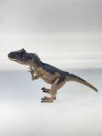 Other Brand Allosaurus Figure