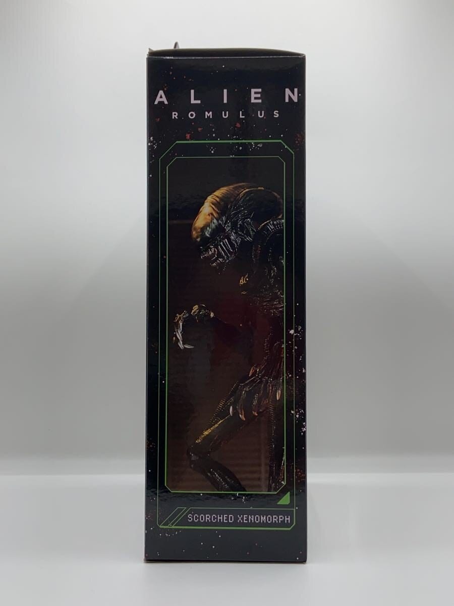NECA Figure (Other Brand)
