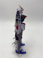 BANDAI Plastic Model (Gunpla) METAL ROBOT魂 Strike Freedom Gundam Type-2