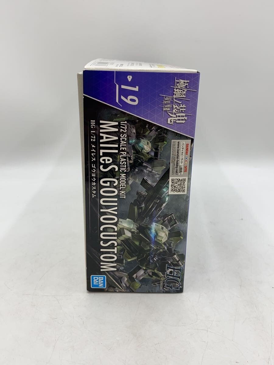 BANDAI Kyoukai Senki Gokukou no Soki HG 1/72 Meiless Gouyou Custom