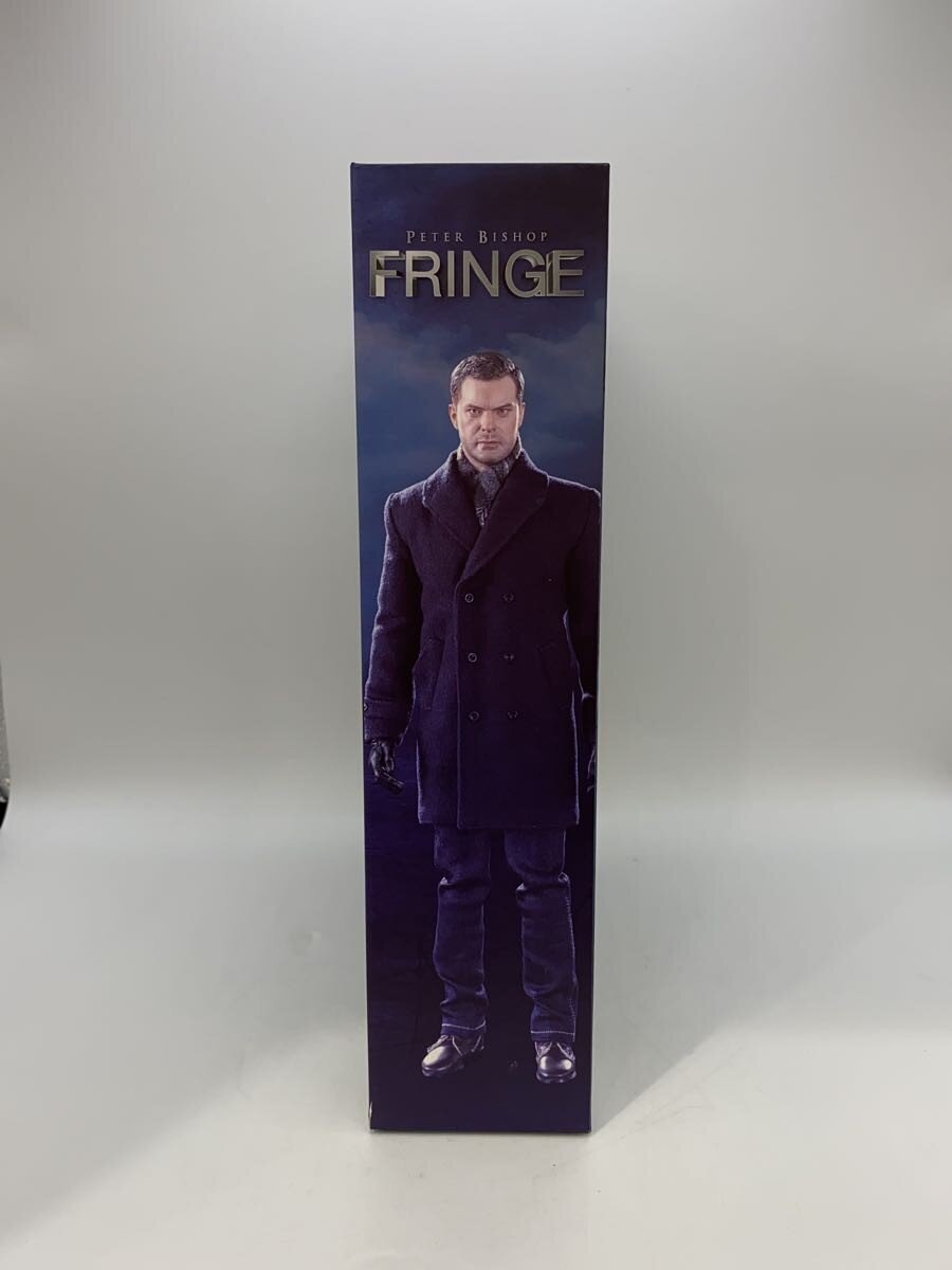 ART STORM 1/6 FRINGE Peter Bishop Figure