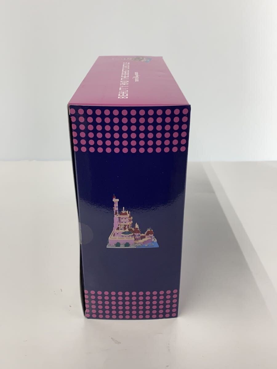 Disney RESORT Hobby Item