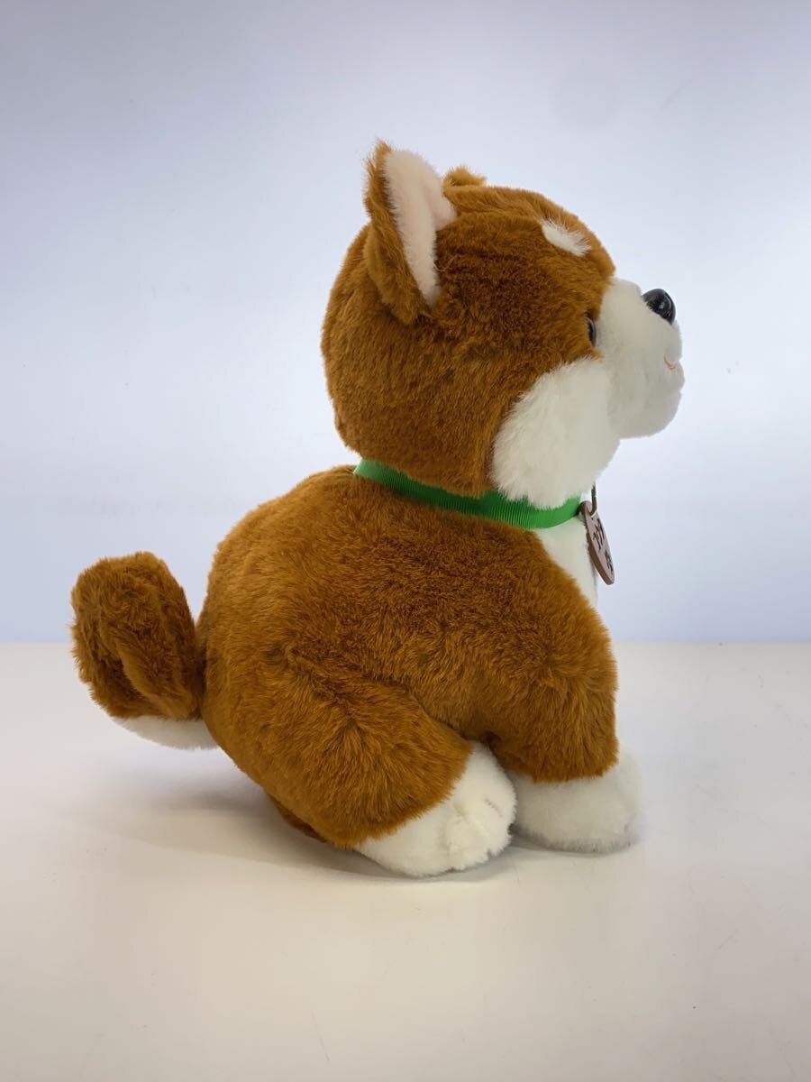 Other Brand partners Shiba Inu Kouta