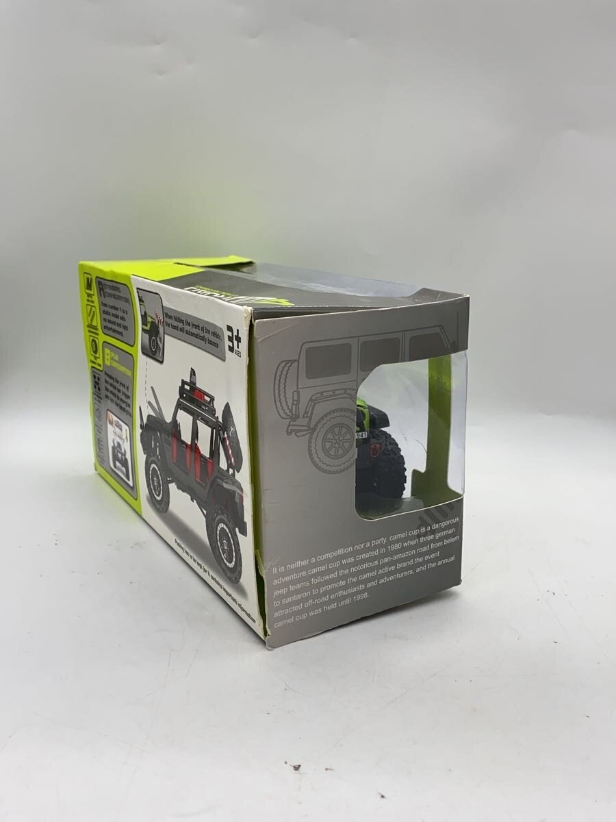 Other Brand RC Car