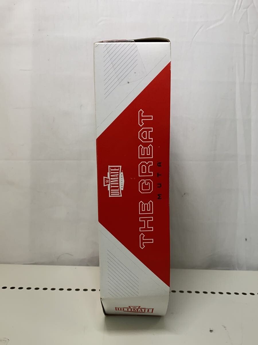 Misc Brand WWE Figure