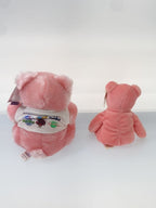 Other Brand Teddy Bears (Set of 2)
