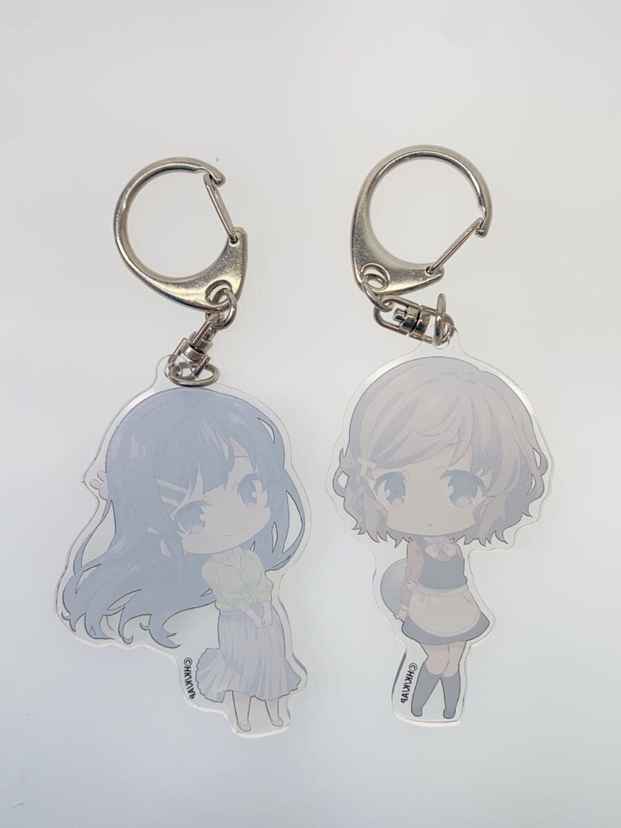 Other Brand Hobby Item: AoButa (Seishun Buta Yarou) 'Doesn't Dream of Santa Claus'