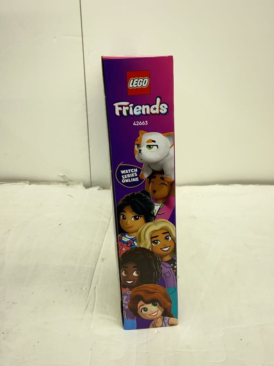 LEGO 42663 (Boy)