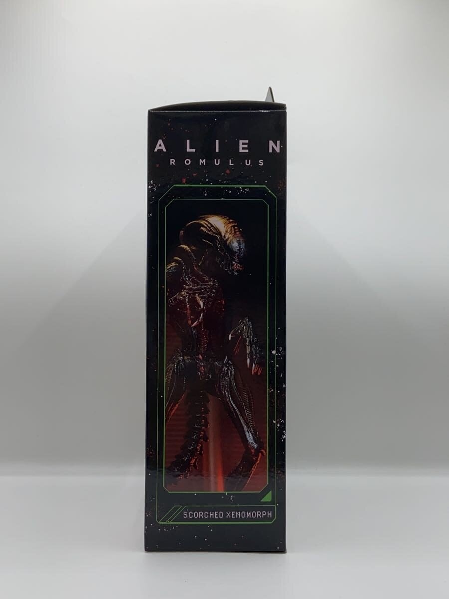 NECA Figure (Other Brand)