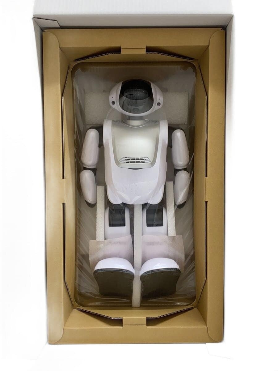 DMM Palmi Communication Robot PRD-C1204J1