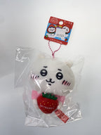 Misc. Brand Chiikawa Local Mascots (3 pieces)