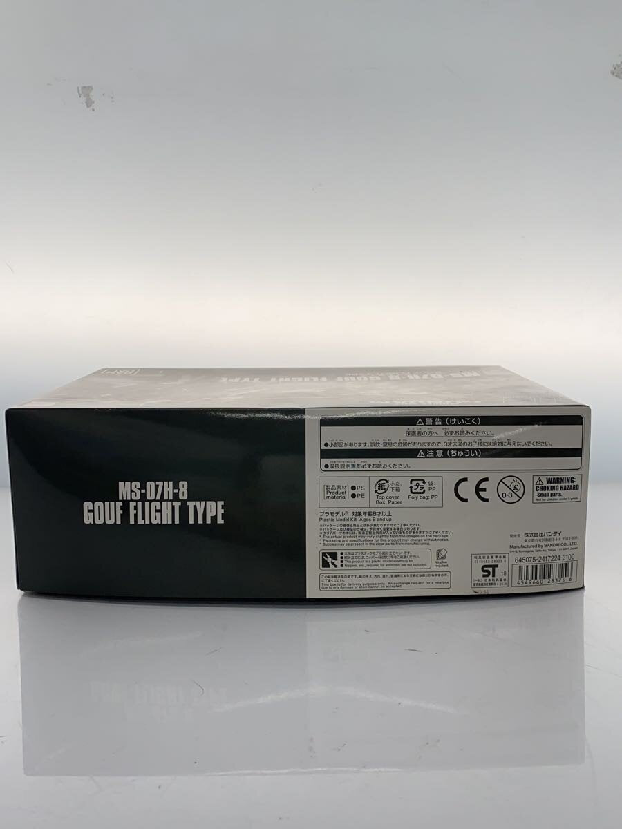 BANDAI Plastic Model (Gunpla)