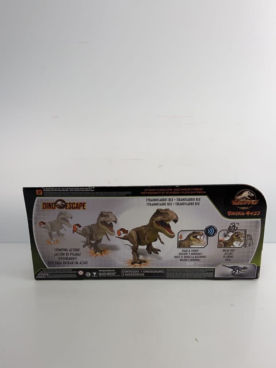 Mattel International Boy