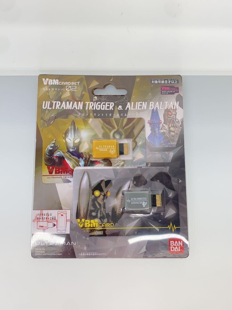 BANDAI Tokusatsu Kamen Rider VBM Card Lot