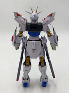 BANDAI Plastic Model (Gunpla) METAL ROBOT魂 Strike Freedom Gundam Type-2