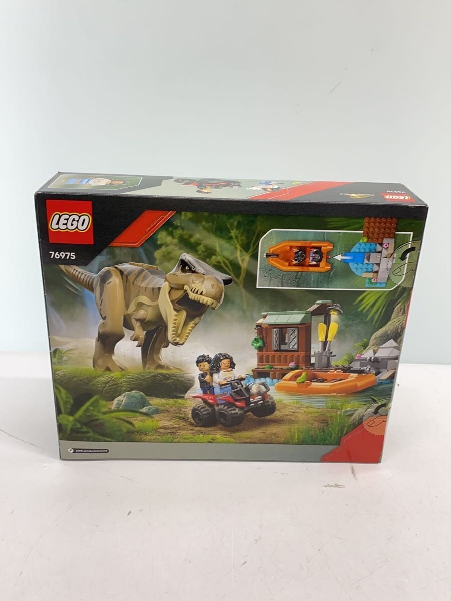 LEGO Boy