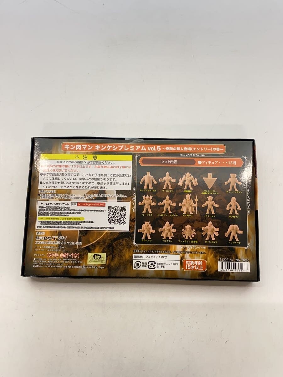 BANDAI Kinnikuman Kinkeshi Premium Vol.5 (Boy)