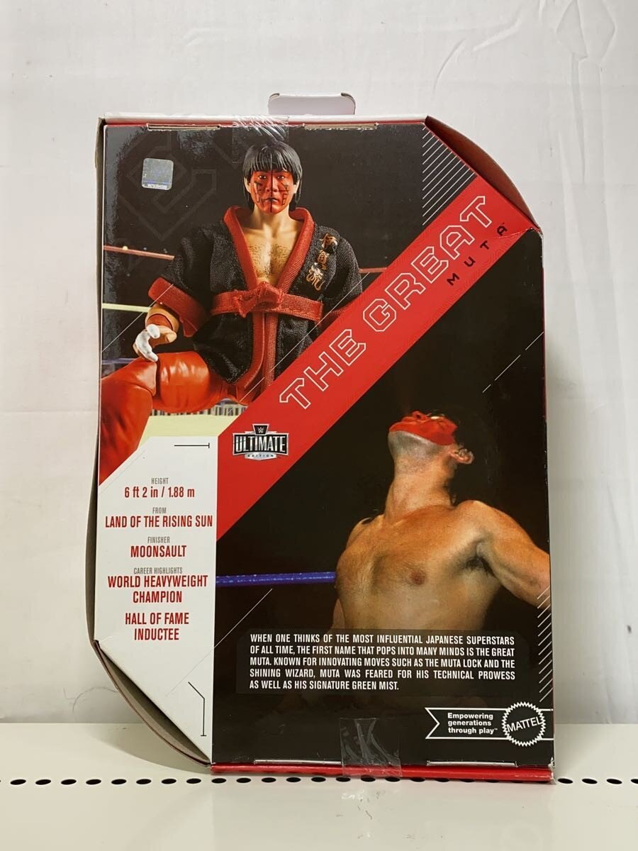 Misc Brand WWE Figure