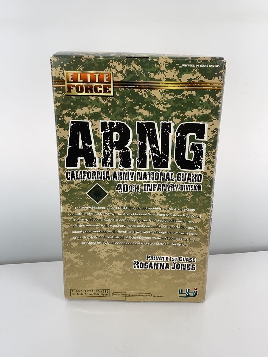 Other Brand ARNG Plastic Model (Military)