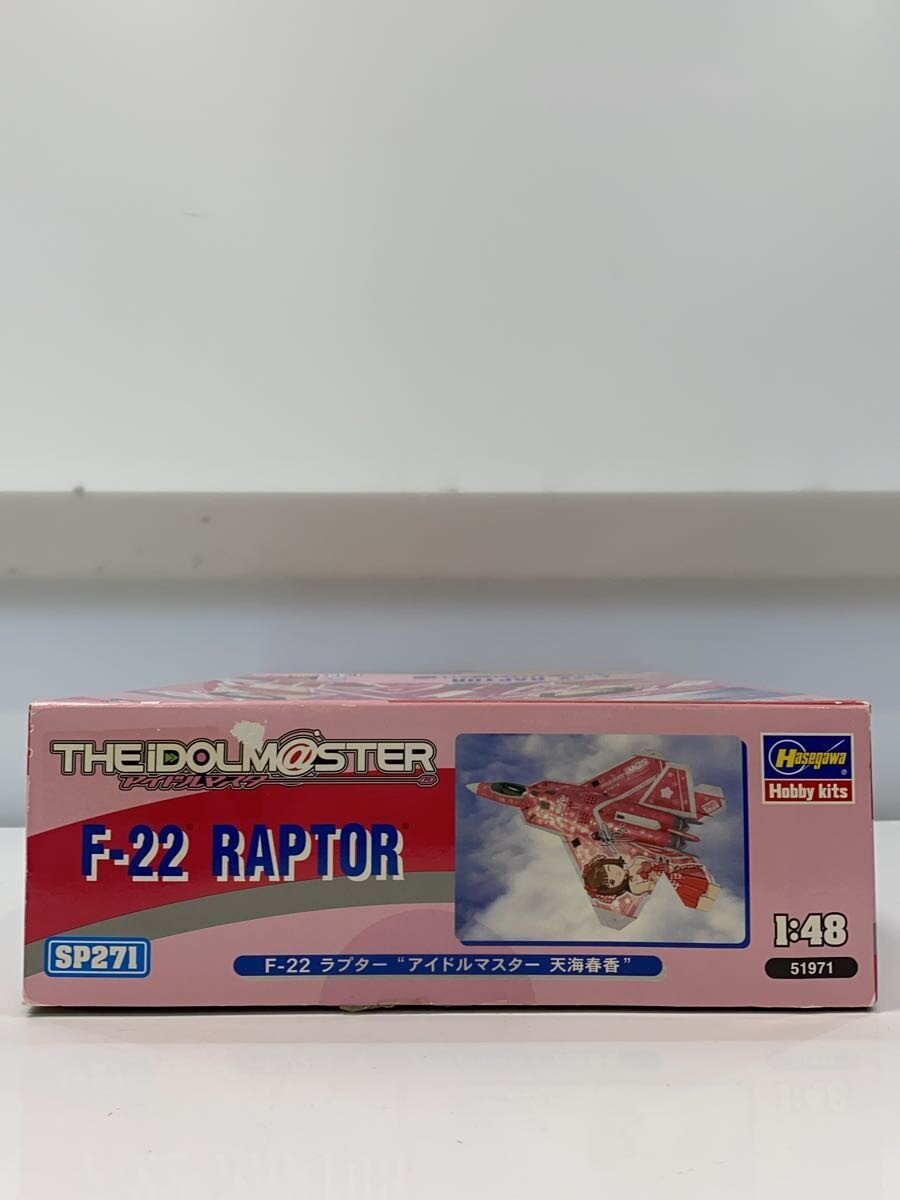 Hasegawa Plastic Model (Aircraft / Helicopter)