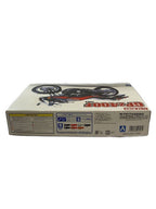 Aoshima Plastic Model (Car)
