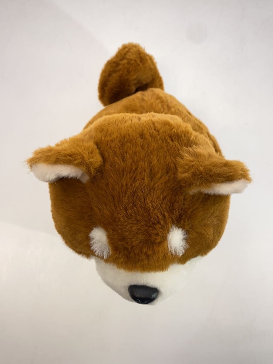 Other Brand partners Shiba Inu Kouta