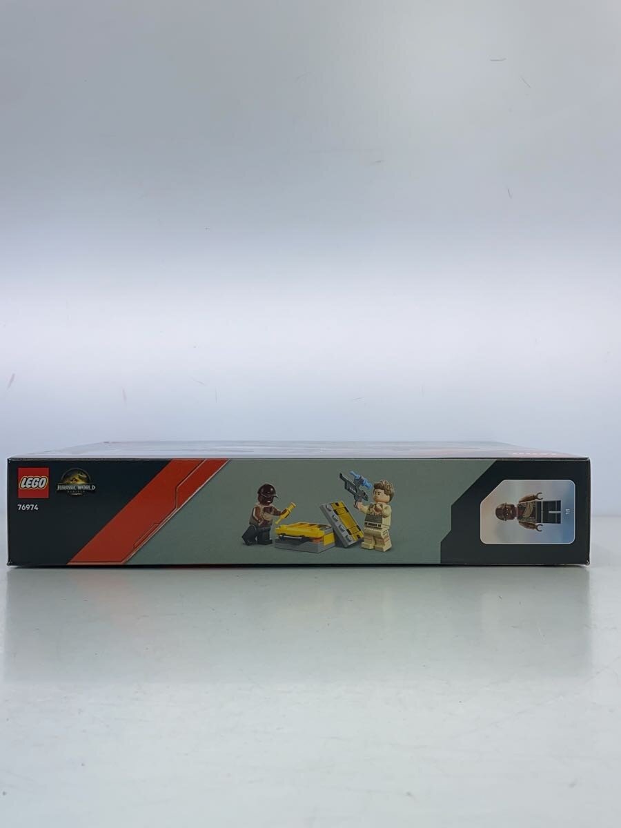 LEGO Boy 76974