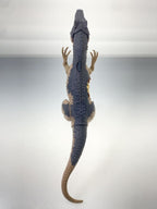Other Brand Allosaurus Figure