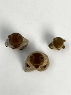 EPOCH Sylvanian Families Brown Bear Family (3) Dollhouse