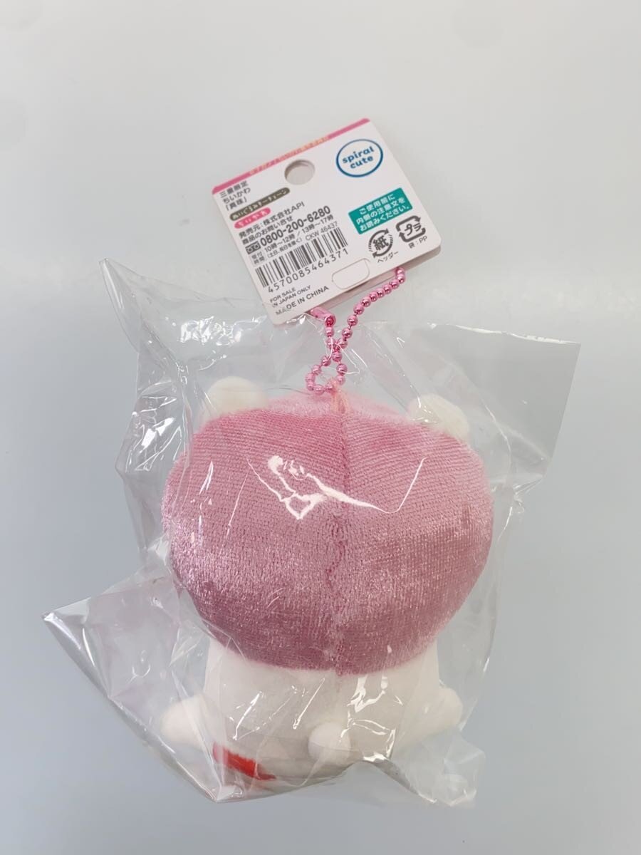 Misc Brand Local Chiikawa Mascot Set (4 pcs)