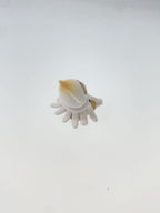Other Brand Mofusand Interior Mini Figure - Sea Creatures Nyan