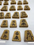Other Brand Hobby Item