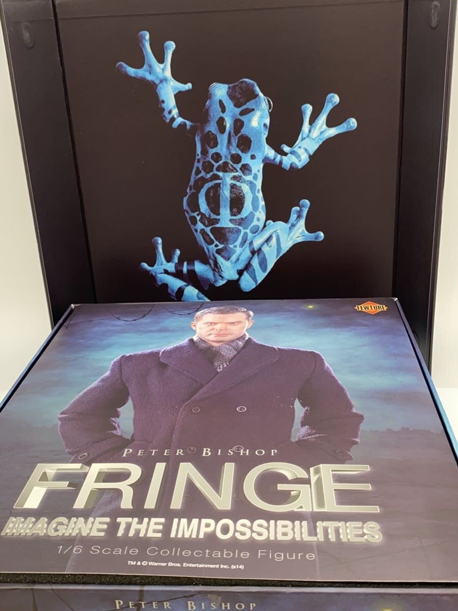 ART STORM 1/6 FRINGE Peter Bishop Figure