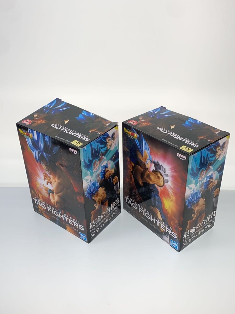 Other Brand TAG FIGHTERS Son Goku & Vegeta 2-Piece Set (Dragon Ball)