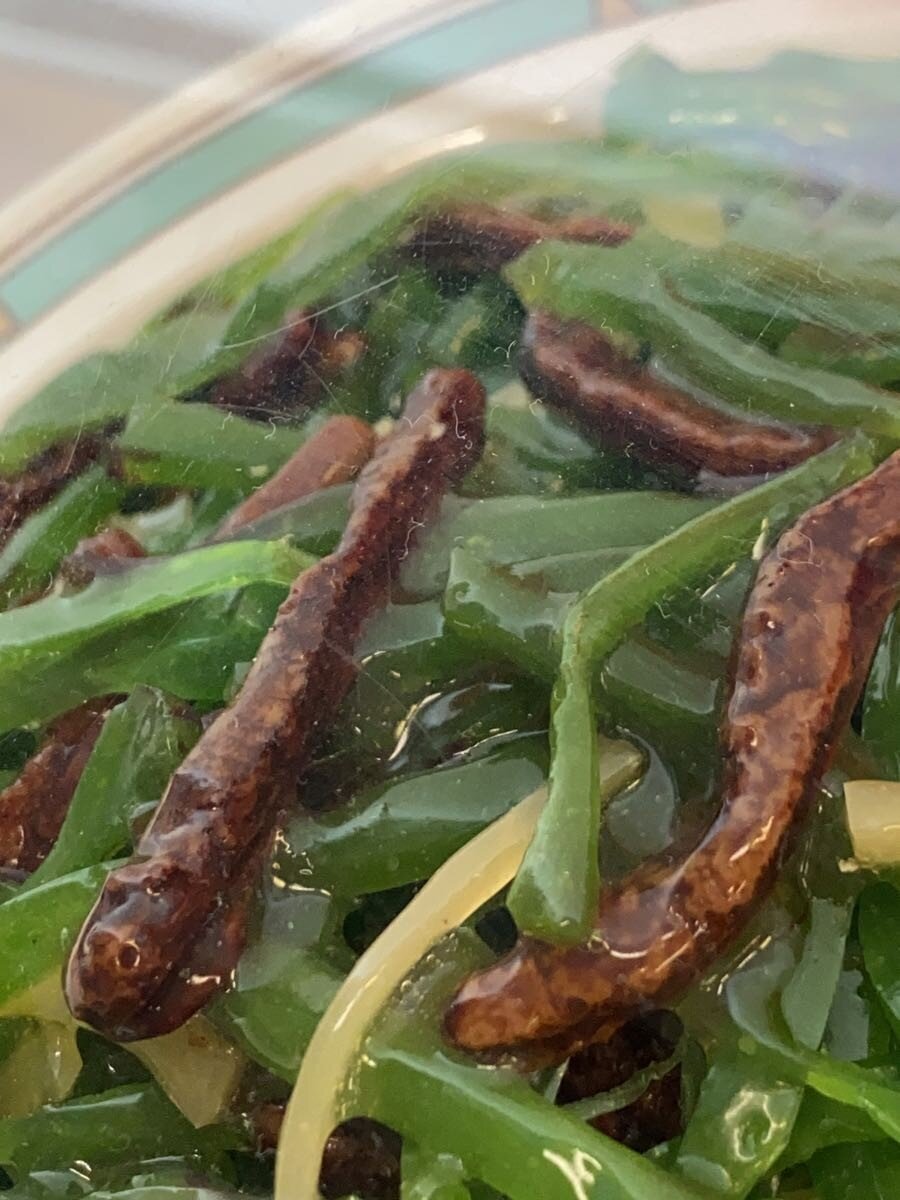 Other Brand Food Sample — Chinjao Rosu (青椒肉絲)