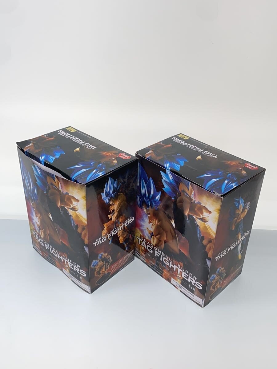 Other Brand TAG FIGHTERS Son Goku & Vegeta 2-Piece Set (Dragon Ball)