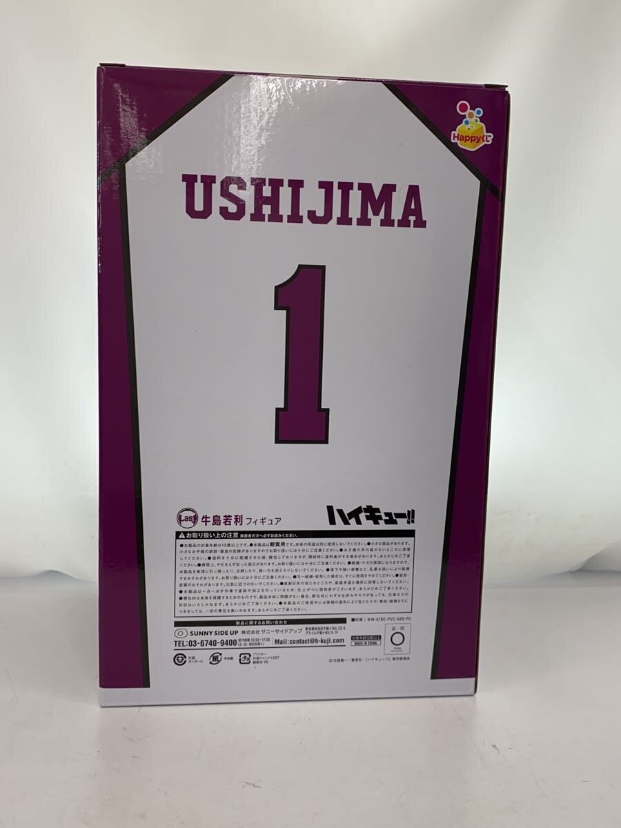 Misc. Brand Haikyu Wakatoshi Ushijima Figure (Happy Kuji Last Prize)